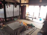 散らかっています・・