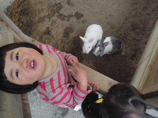 午後は小学校のウサギを見に。