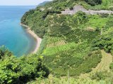 向こうにバスが見えますか？このスケール！