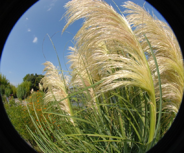 img0039.jpg