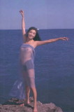 img0000.jpg