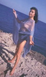 img0005.jpg