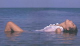 img0010.jpg