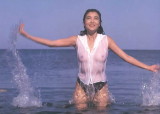 img0011.jpg