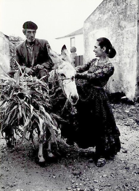 img0002.jpg