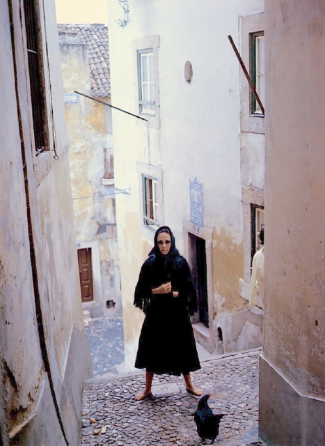img0012.jpg