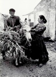 img0002.jpg