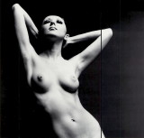 img0035.jpg