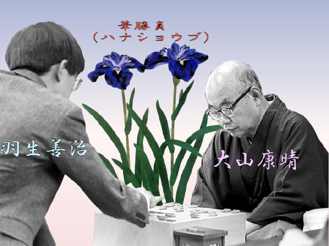 img0016.jpg
