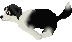 ¥é¥é¥¸¥ã¥ó¥×