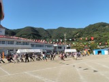 綱引きです