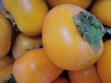 柿の食べ放題なんて、初めてで感激。