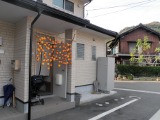 我が家の「のれん」です。ちょっと、入りにくい。