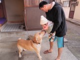 犬にも挨拶。