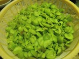 切っていったら、こんな感じ。