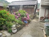 いつもここに座っているおばあちゃん。