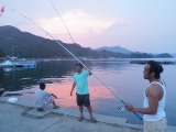 夕日でピンクの海。