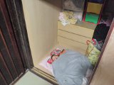 押入れの中が一番暖かい！？