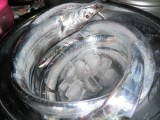 太刀魚です。ハモは写真を撮る余裕すらありませんでした。