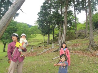 普段は牛が放し飼いのフィールドで、歩きたい放題。