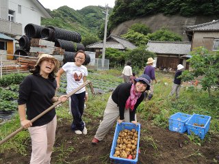 皆でジャガイモ掘り！