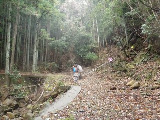 午後は林道を歩きました。