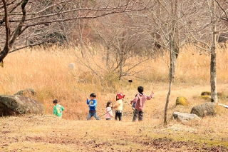 樹も岩もなんでも遊具に。