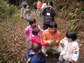 山イチゴに釘づけ。