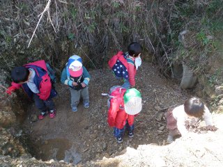 穴にはまって出てきません。