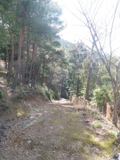 林道抜けて。