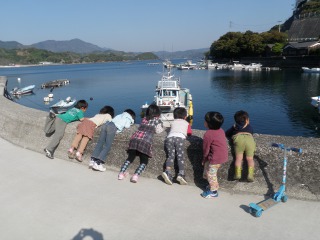 海の魚をのぞき込む。
