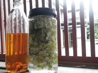 一年間、焼酎に漬け込むと、こんな茶色のローションに。