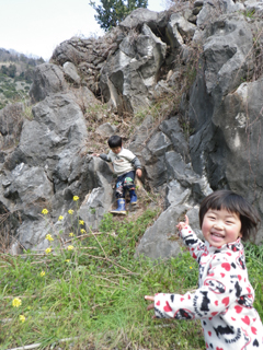 崖があったら登りたい、の（す）。