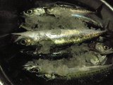 揚げ煮、味噌煮、竜田揚げ、塩焼、、、じゅるる。