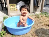 たらいがプール。