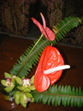 カリンポンで作っているお花頂きました